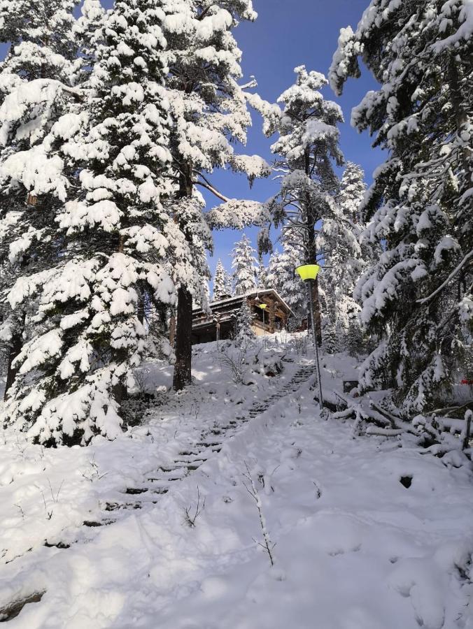 Porontima Lake House In Pure Rukatunturi Nature Zewnętrze zdjęcie